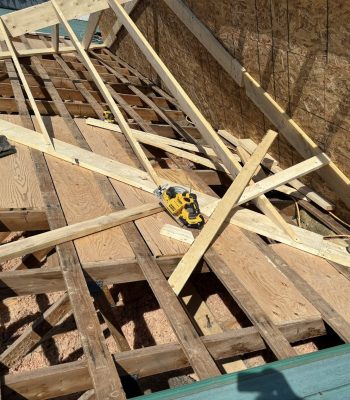 544662722_122100678555004938_1547301987111848102_n